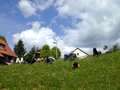 bild_37.jpg