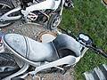 bild_60.jpg