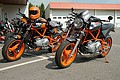 bild_11.jpg